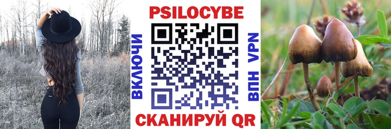 Псилоцибиновые грибы прущие грибы  где продают   Белово 
